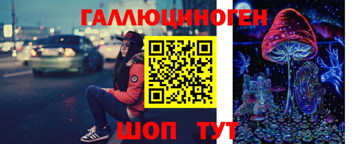 Холмск  Псилоцибиновые грибы Psilocybe  Псилоцибиновые грибы GOLDEN TEACHER  Вход с VPN 